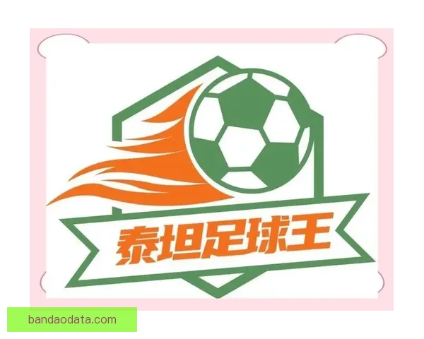 世界杯体育竞猜平台全新上线助力球迷精准预测赛事胜负赢取丰厚奖励